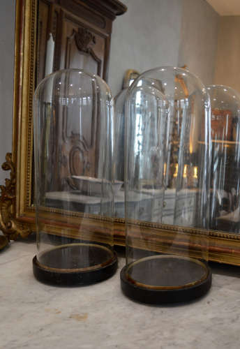 Pair of 19th Century Tall Glass Domes