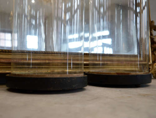 Pair of 19th Century Tall Glass Domes
