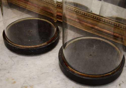 Pair of 19th Century Tall Glass Domes