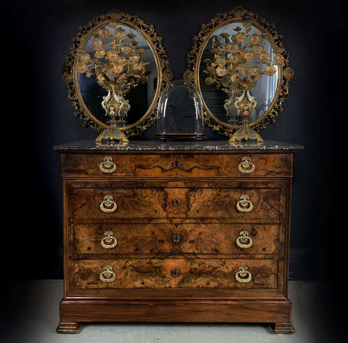 19th Century Burr Walnut Charles X Commode