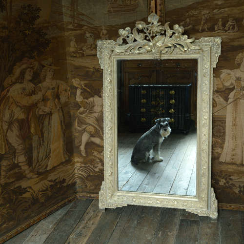 Late 19th Century Art Nouveau Gilt mirror